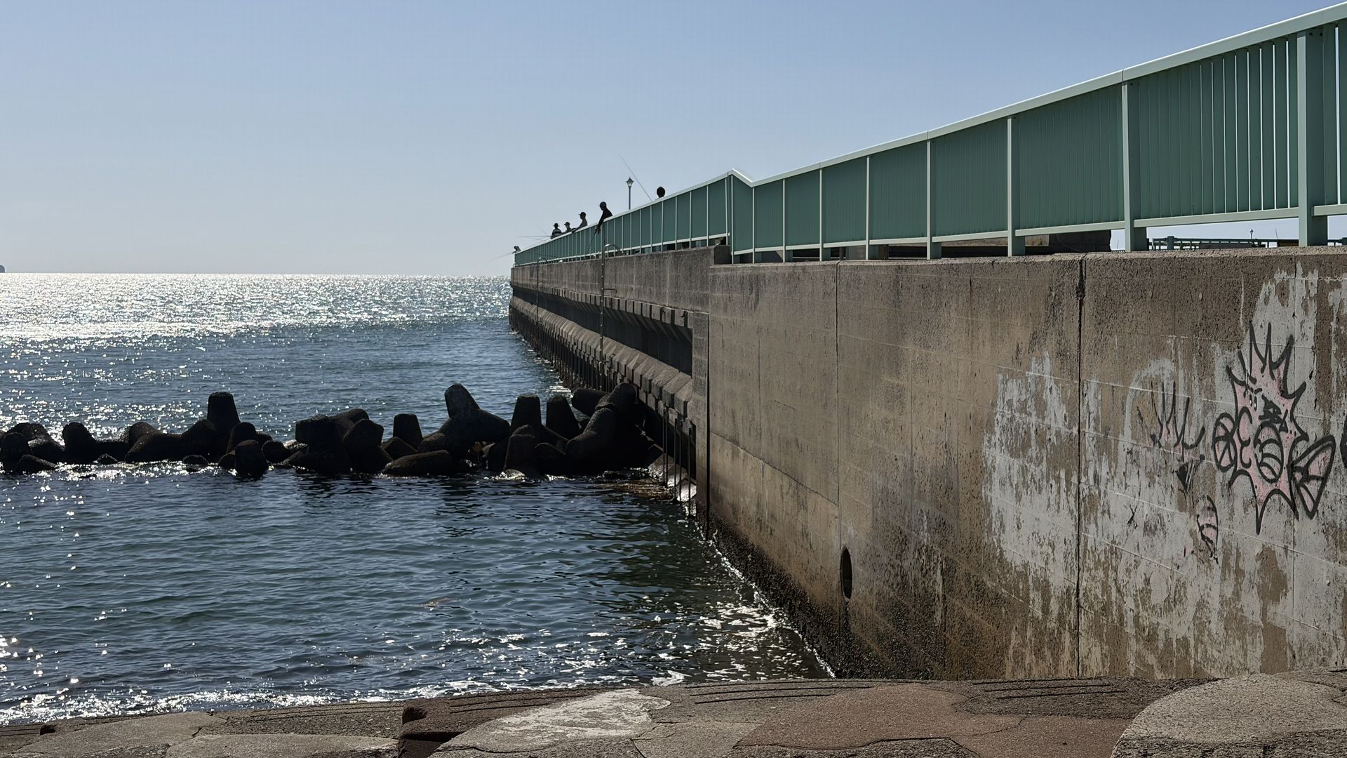 福間海浜公園 足元の様子