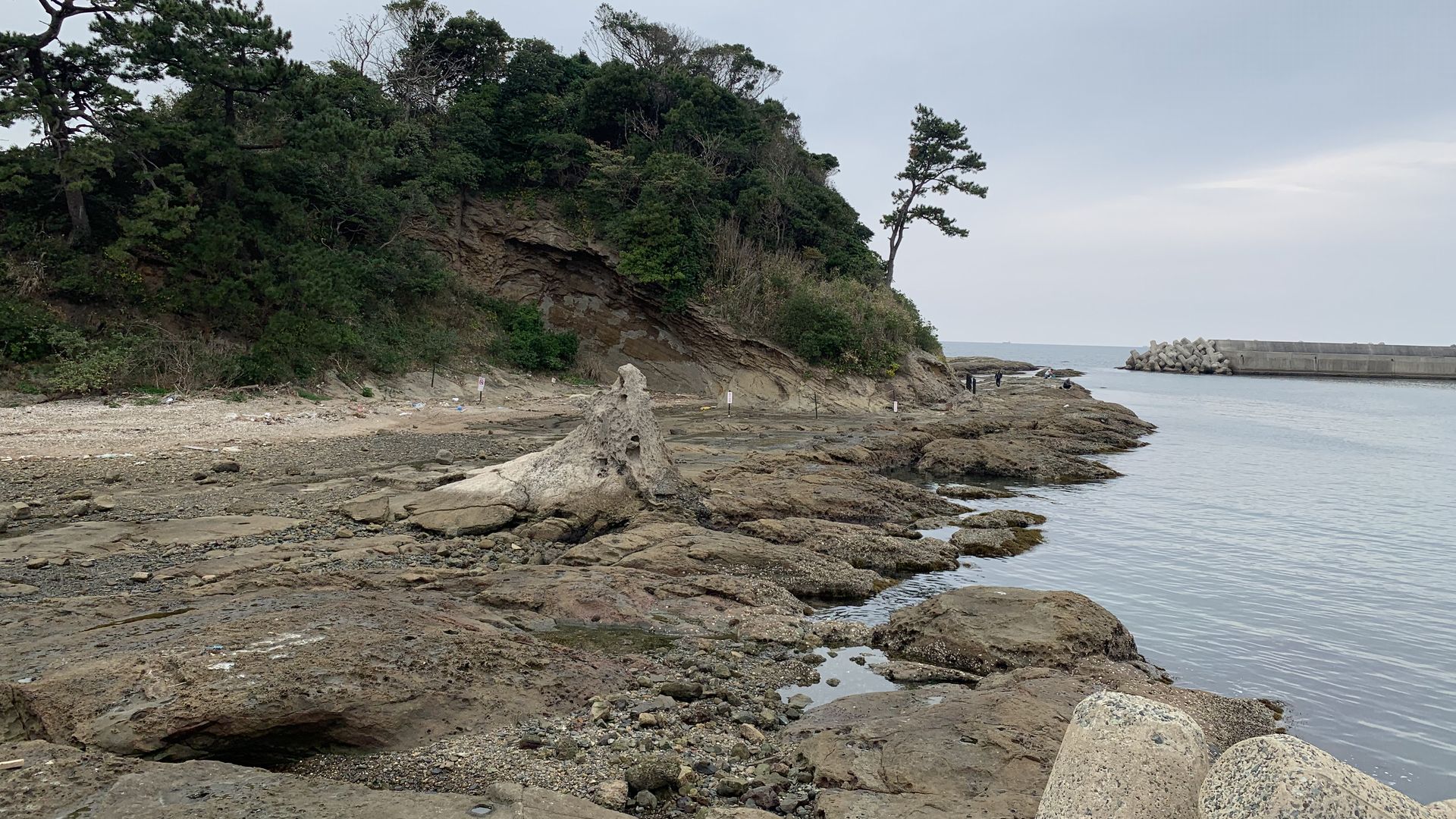 赤灯波止から洞山地磯方向の景色